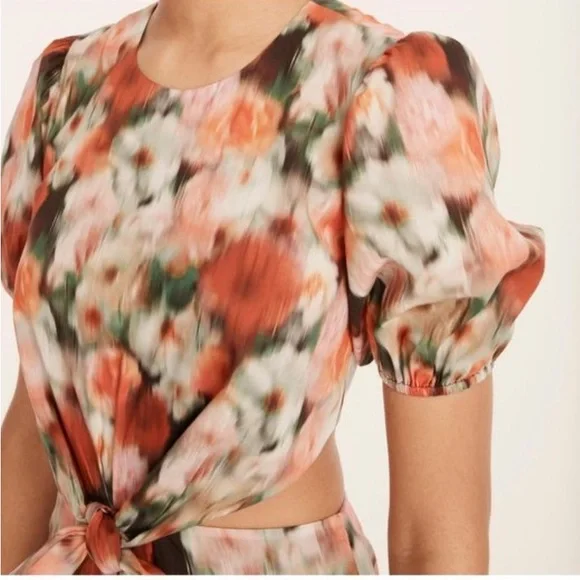 NWT J. Crew x Liberty Women’s 00 Hazy Day Floral Cut Out Liberty Fabric Dress - Picture 7 of 9